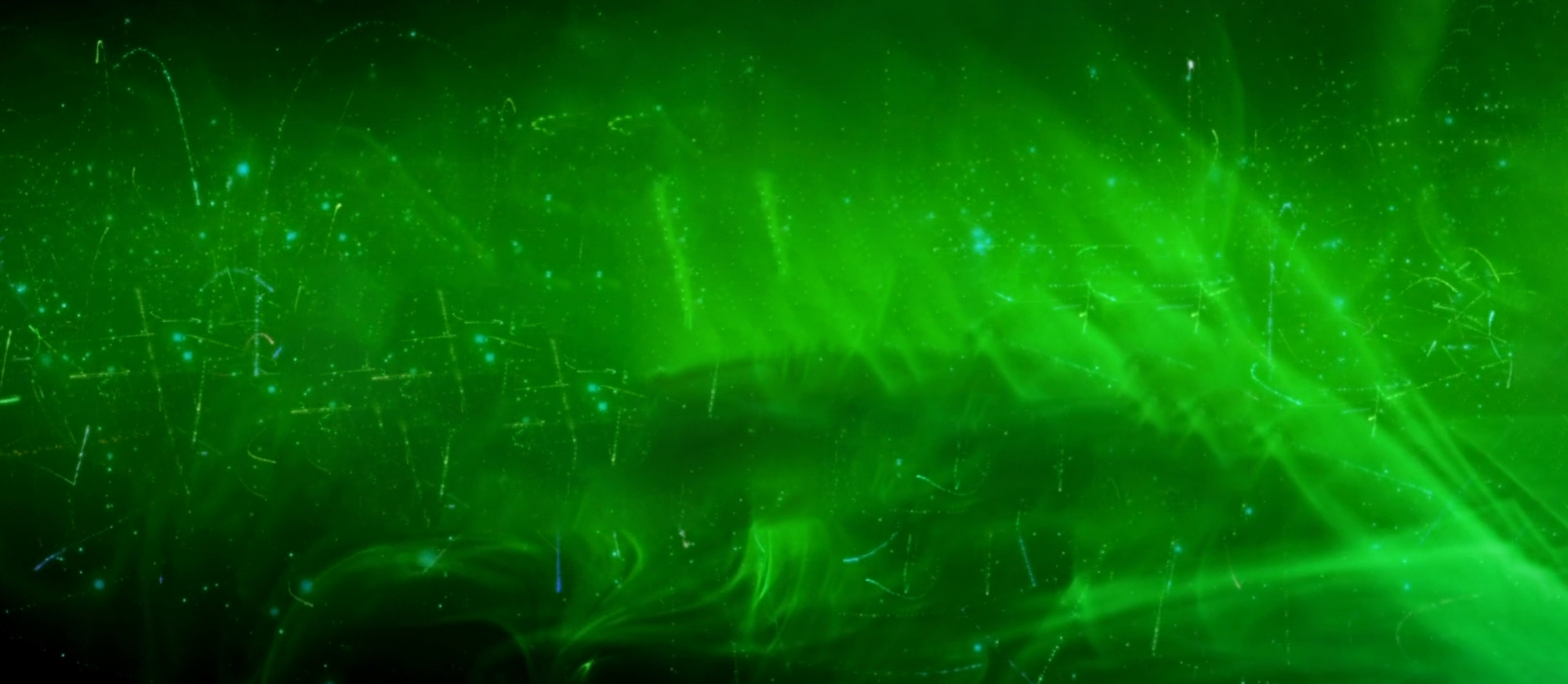 Ảnh banner đầu trang